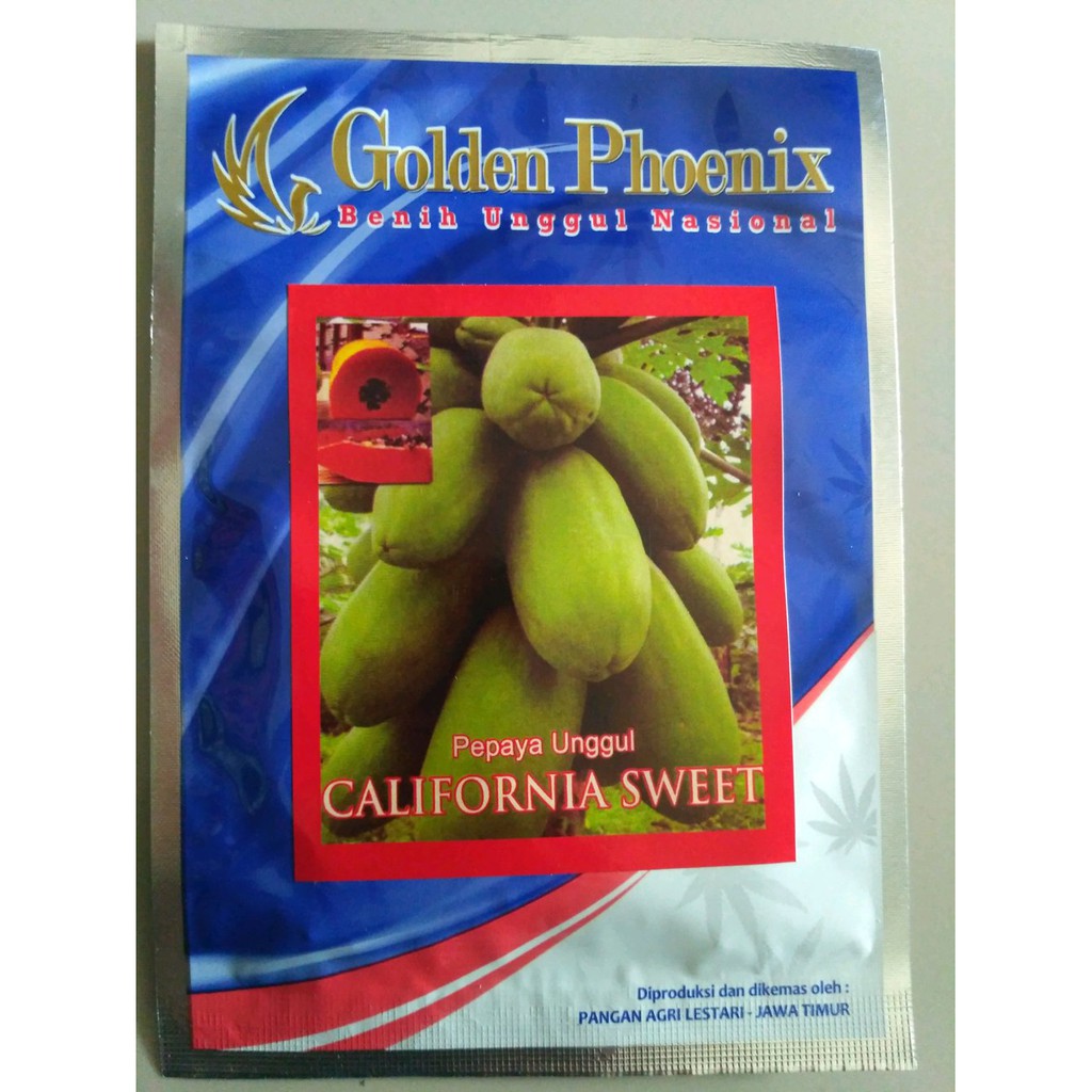 Benih pepaya California CALIFORNIA SWEET - bibit pepaya Berkuali