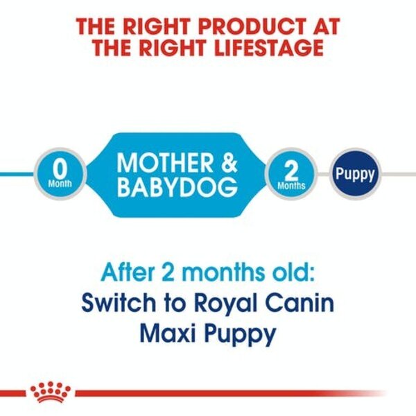 Royal Canin Maxi Starter Mother &amp; Baby Dog 4kg Babydog 4 kg RC Food