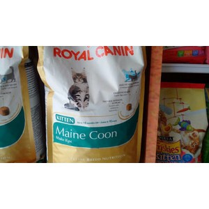 Royal canin kitten main coon 2kg