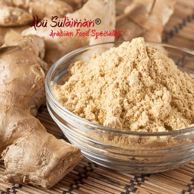 

Induk Jahe Bubuk Murni Kualitas Premium Pilihan / Ginger Powder - 15 Gr