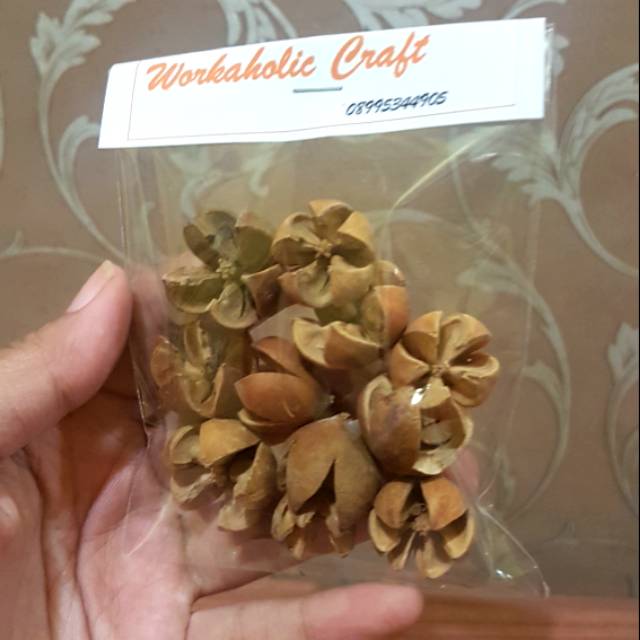 BIJI PUSPO 1 PACK HIASAN RUSTIC HIASAN KOTAK LAMARAN KOTAK BIJI PUSPO 1 PACK HIASAN RUSTIC HIASAN KOTAK LAMARAN KOTAK