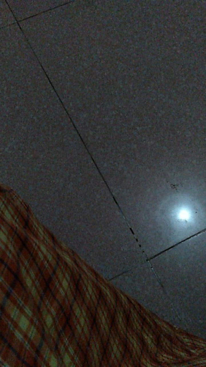 Kotak Makan Bento Lunch Box Set 3 Tingkat Transparant Lid Tempat Makan Bpa Free 900m