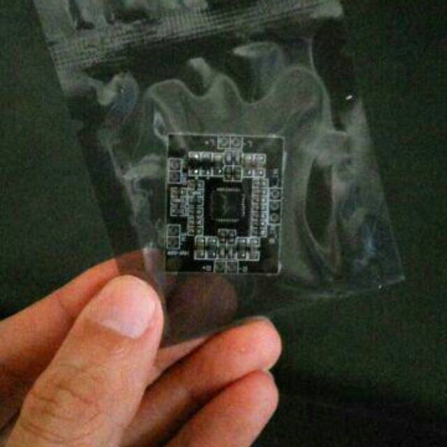 Kit pam8610