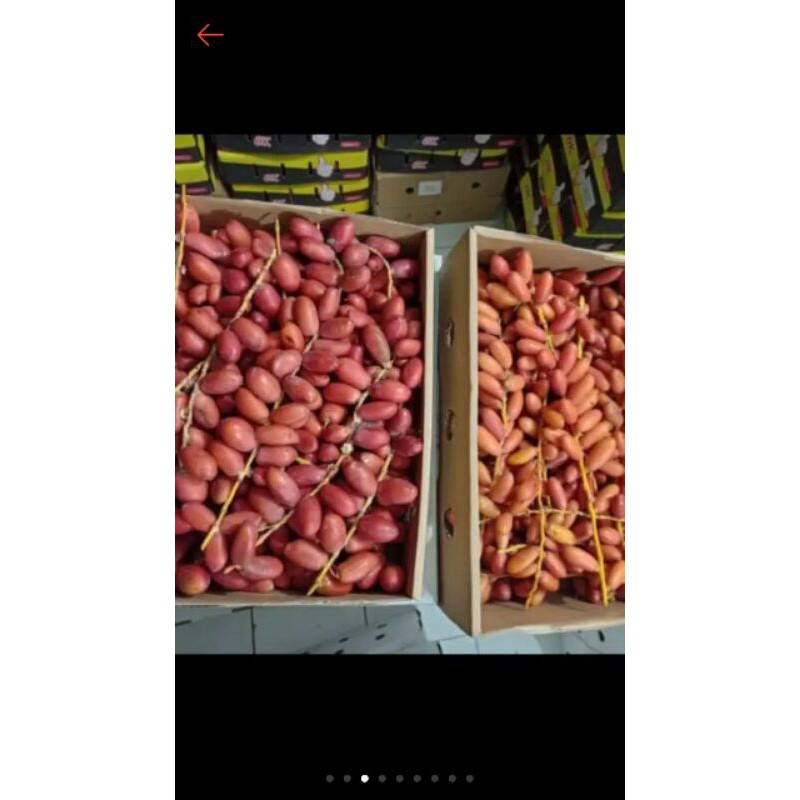 

kurma muda fresh bukan frozen