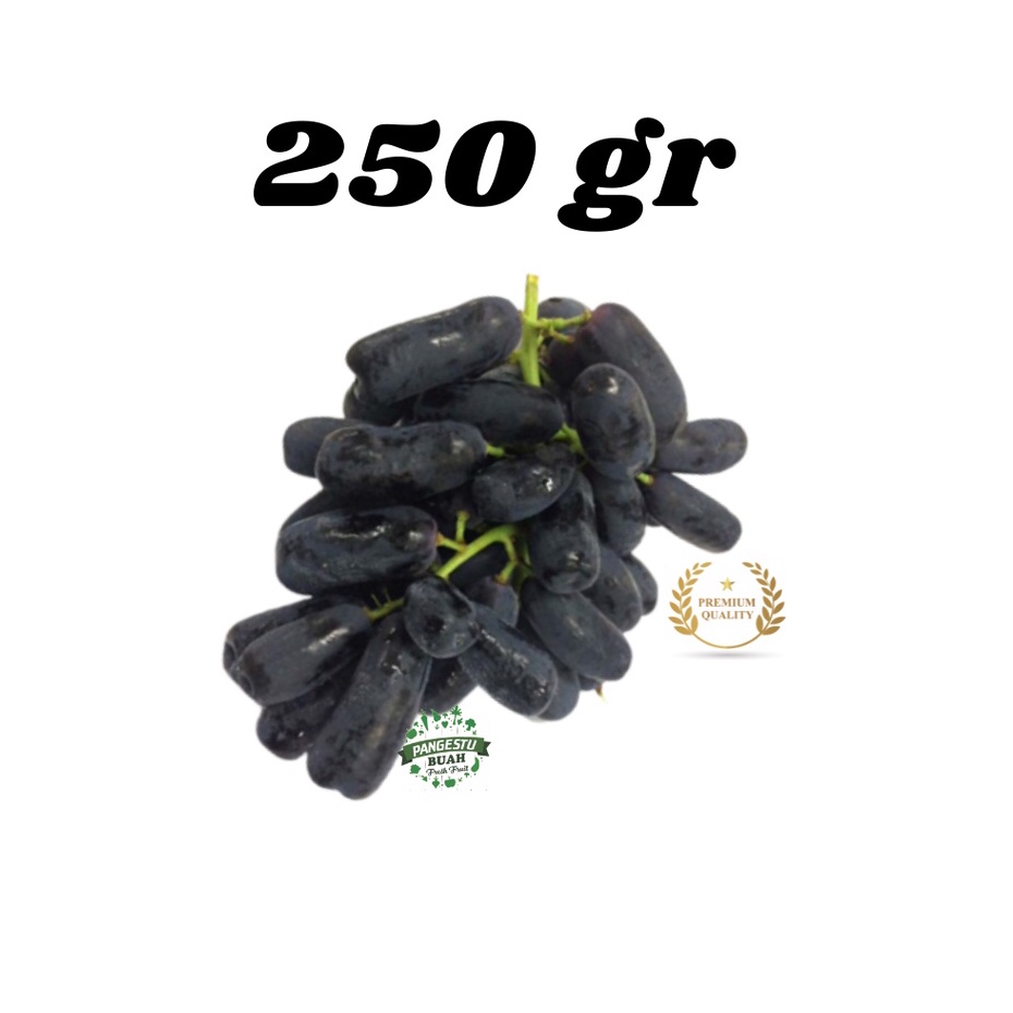 

ANGGUR HITAM AUTUMN MOONDROP SWEET SAPHIRE