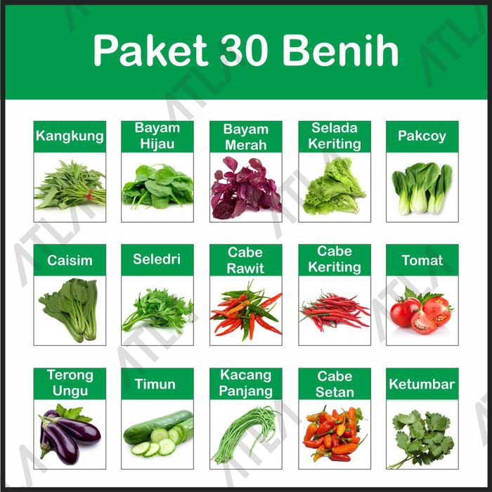 Paket 30 Benih Kebun Hidroponik Biji Bibit Jenis Sayur Sayuran Lengkap - Ph1008