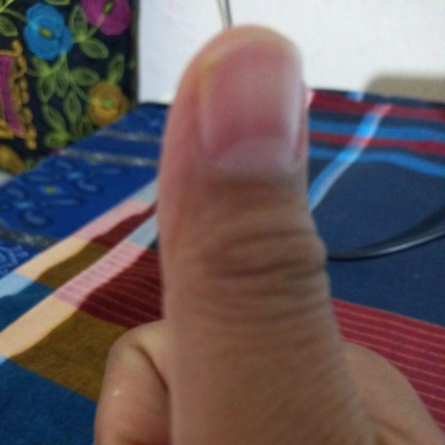 Jaring Pagar Ayam - Jaring Kandang / Jaring Pagar Tanaman Lebar 1,9 Meter