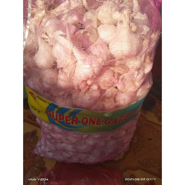 

bawang putih kating