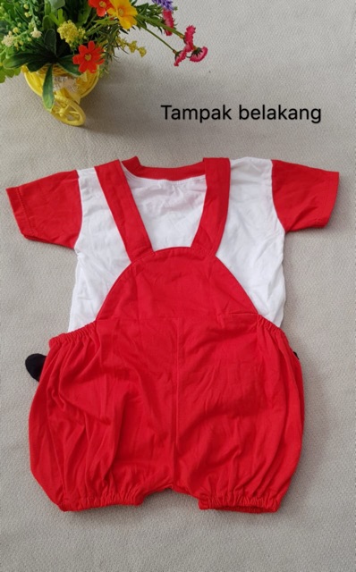 Jumper bayi kumbang + kaos katun 3-9m / baju kodok baby unisex / baju bayi lucu