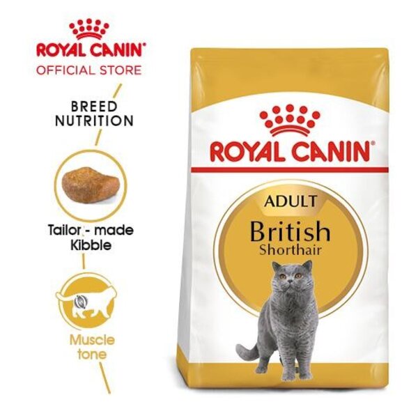 Royal Canin Adult British Shorthair Makanan Kucing 4kg 4 kg Short Hair