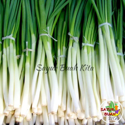 

Daun Bawang Segar 250 gram