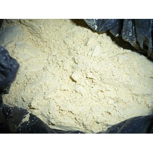 

Fenugreek Bubuk/ Klabet/ Helbeh/ Hulbah/ Hilba /Methi Seeds/Methi 250gr