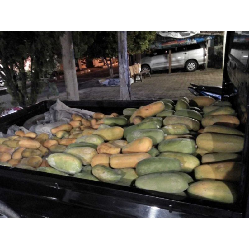 

buah pepaya
