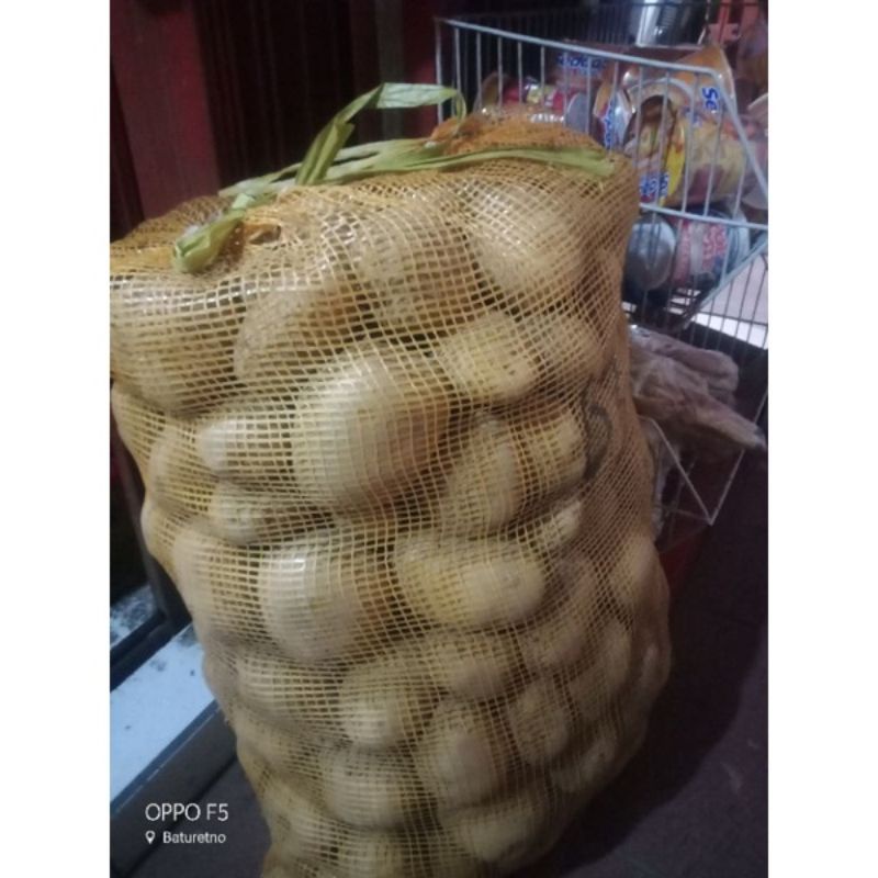 

Kentang sedang 500 gram