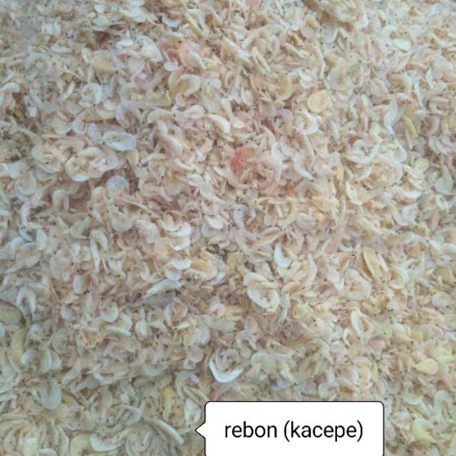 

Kacepe (rebon)