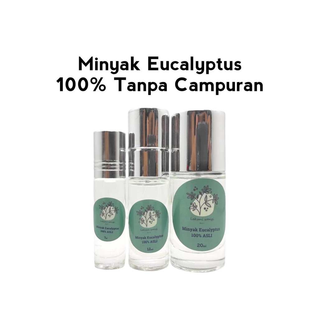 Minyak Eucalyptus Globulus Laksmi Wangi