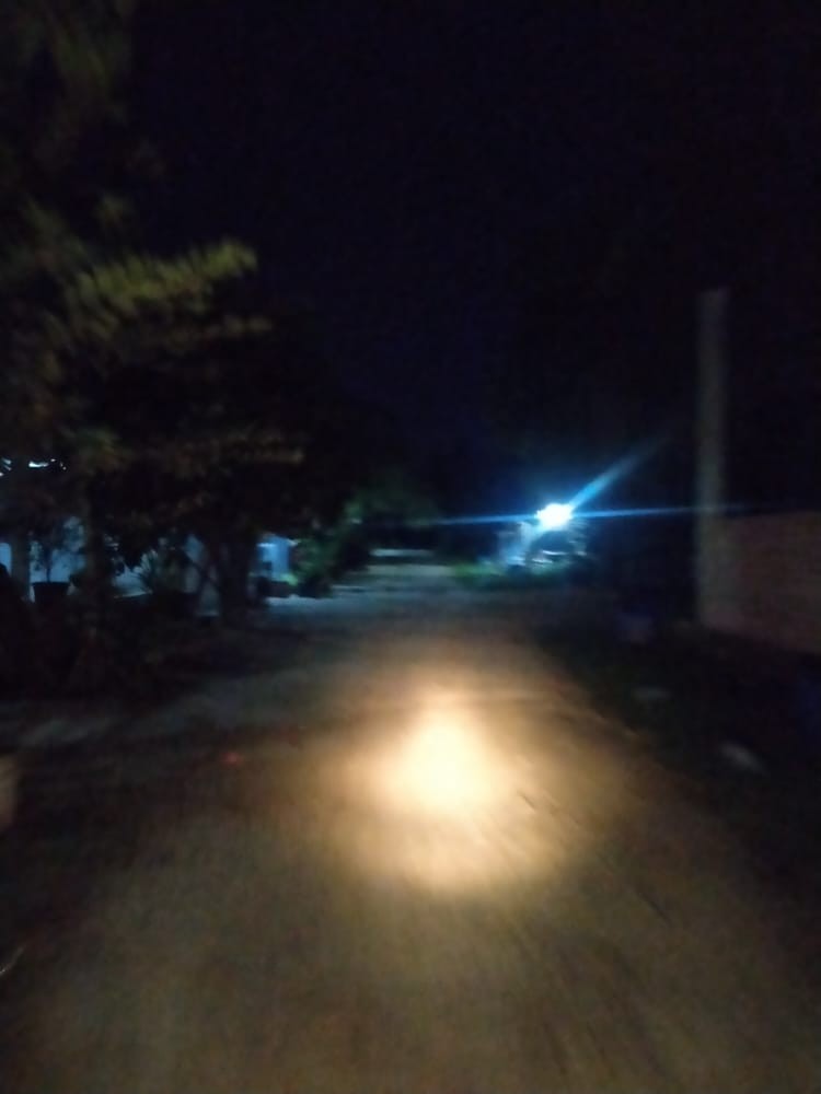 Bswart Batik Hrb026 Kenongo Hem Pendek Padi Pekalongan M L Xl Xxl Batik Pria Murah Modern Grosir