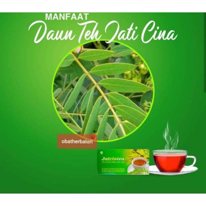 Teh Celup Daun Jati Cina / JATCINTEA Teh Pelangsing Penurun Berat Badan ORIGINAL