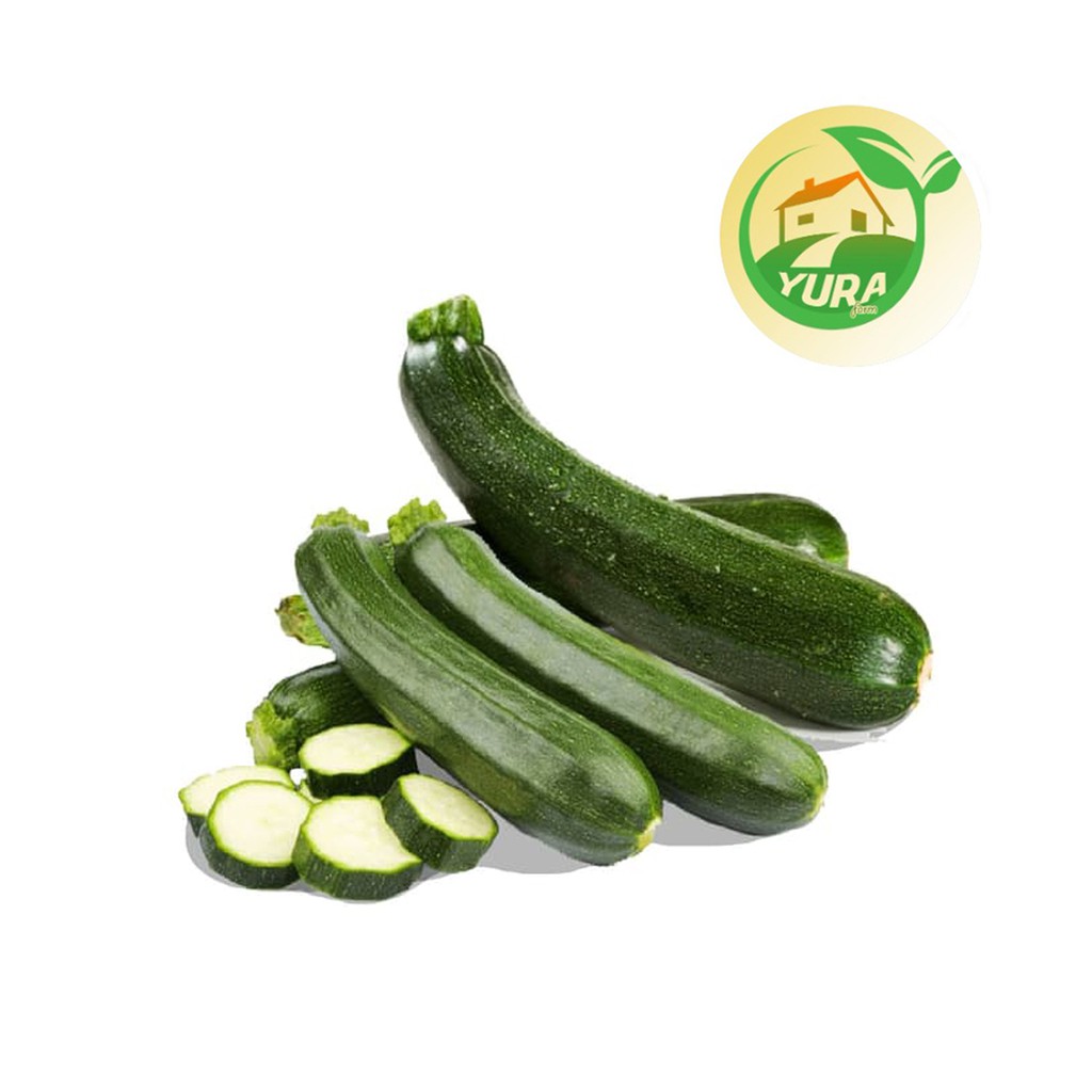 

ZUCCHINI Organik 100% Sayur Segar Organic
