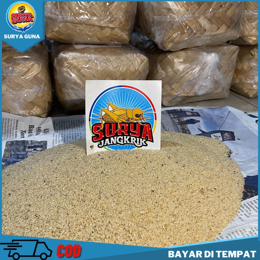 

JUAL TELUR JANGKRIK JAKARTA