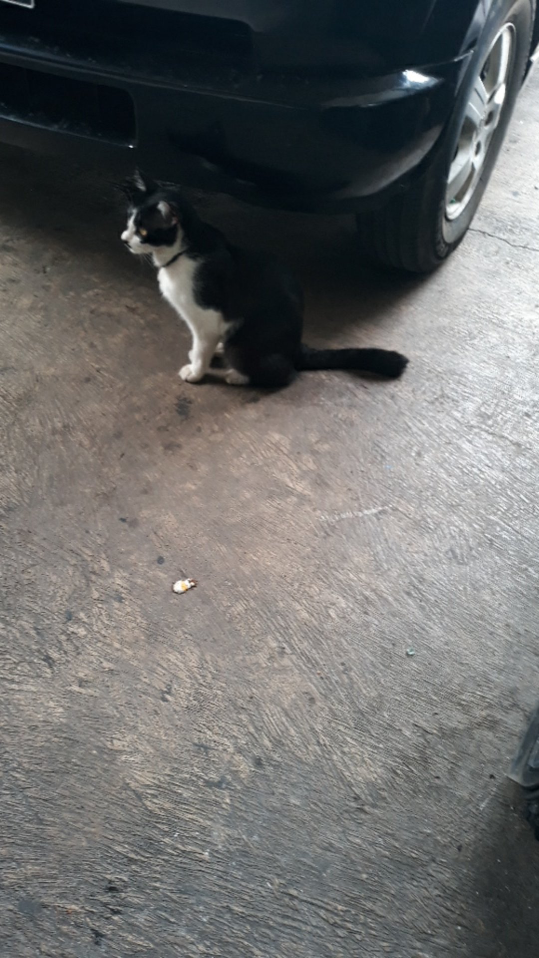 Masker Scuba Anak Anak