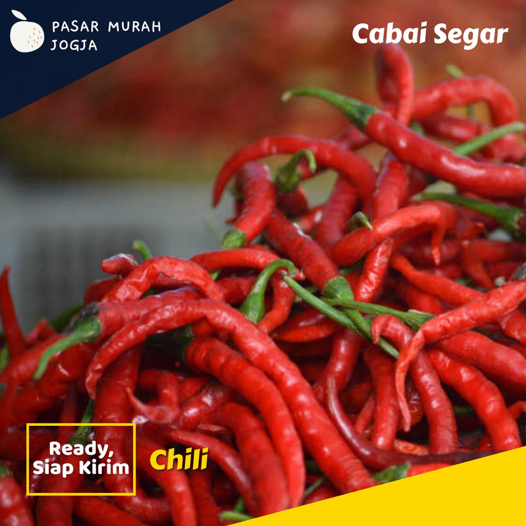 

Cabe Merah Keriting Fresh 500gr Cabai Merah Segar Bumbu Dapur Pasar Murah Jogja