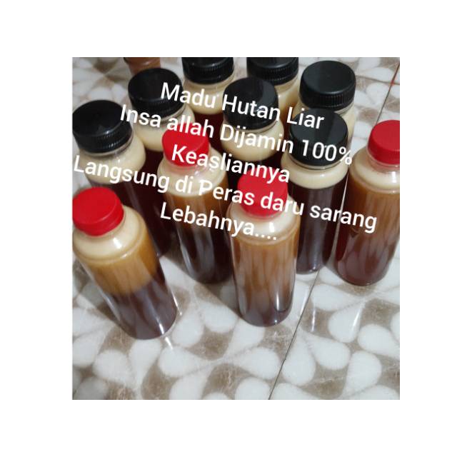 

Madu Asli Hutan Liar Teluk Kijing