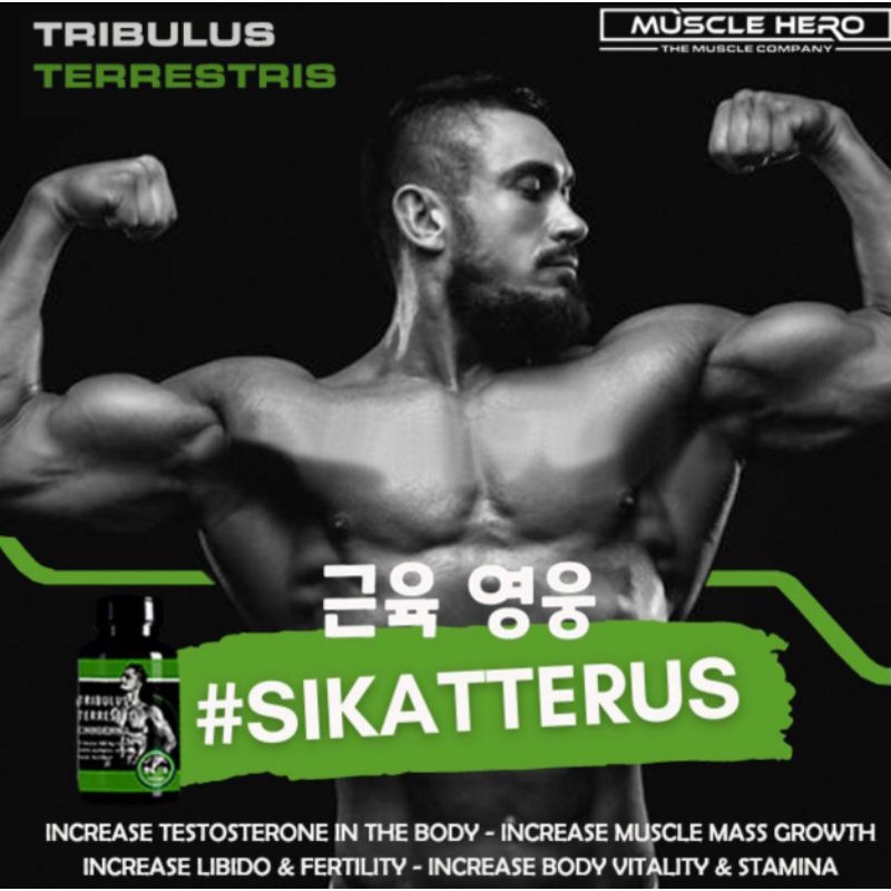 Tribulus Terestris Peningkat Hormon Testosteron Suplemen Otot - Tribulus terrestris