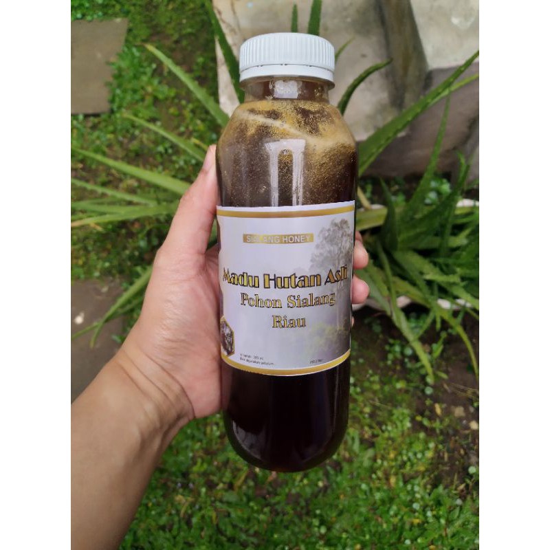

madu hutan