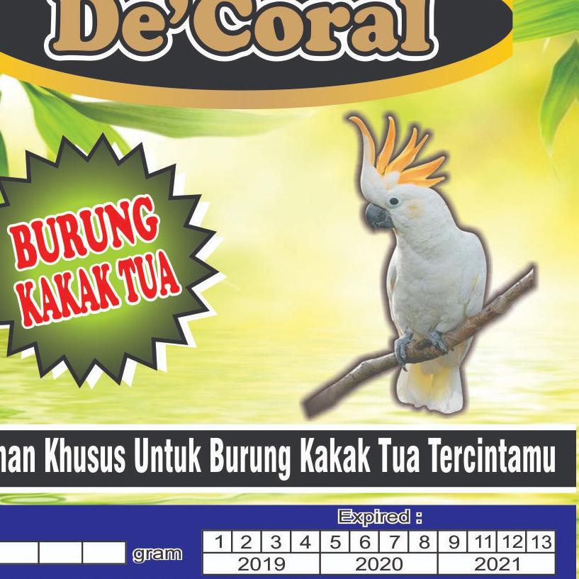 ۝ Makanan Burung Kakak Tua | Makanan Kakak Tua Juara ☆