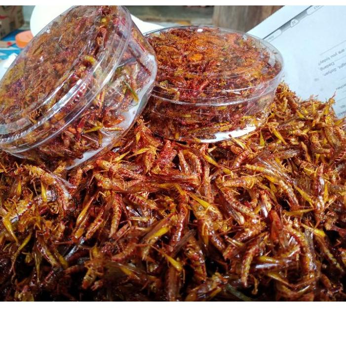 

『HARGA SAMA』 BELALANG GORENG 25rb an |Borong|Kualitas nomer 1|Cepat!!!