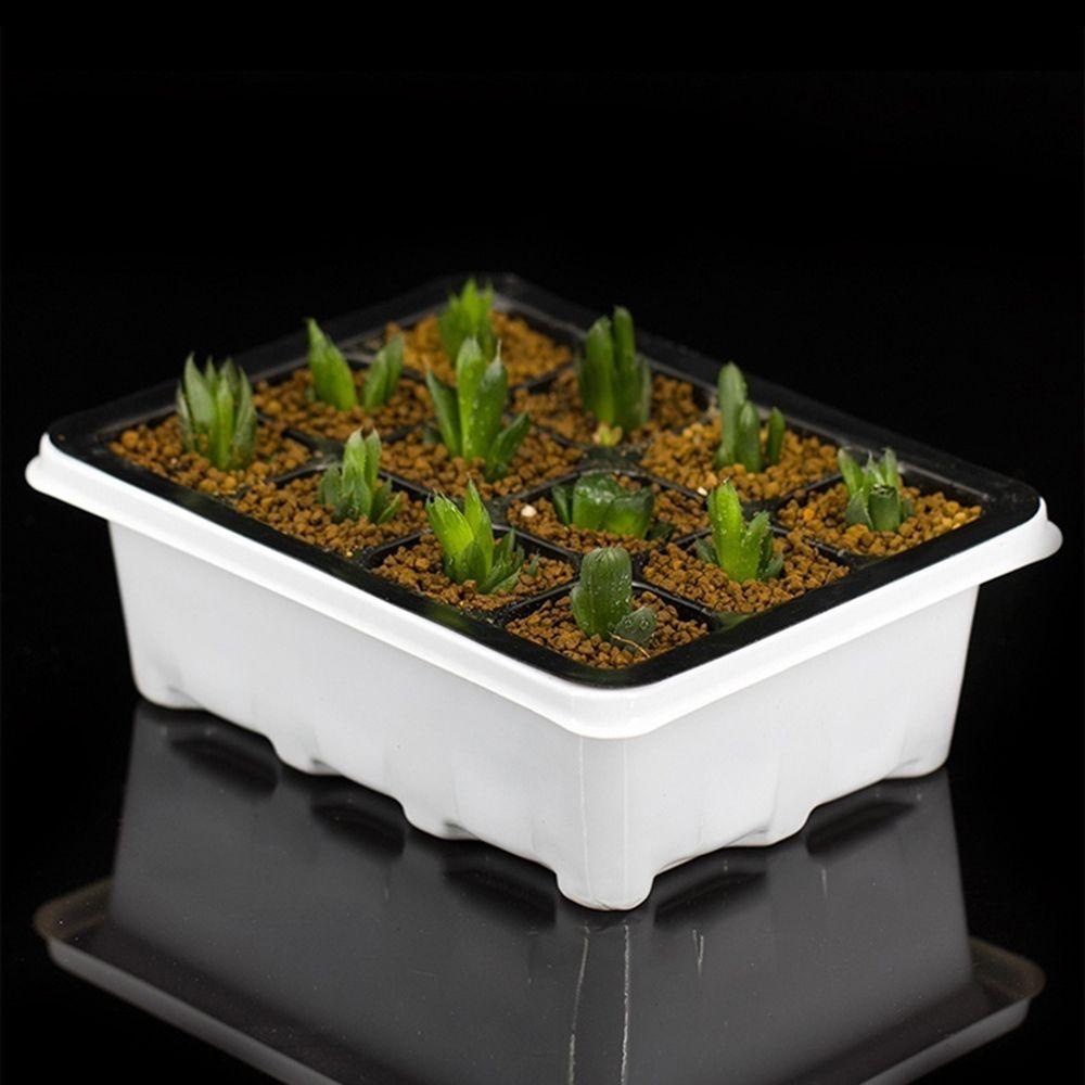 Chookyy 6/12Cells Nampan Tanam Dengan Penutup Bening Greenhouse Kantor Sprout Plate Lids Breathable Nursery Pots