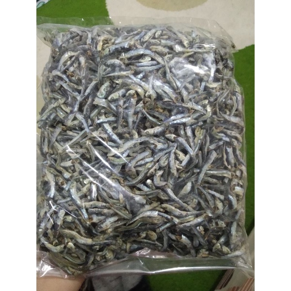

bilis labak / ikan tamban ukuran sedang