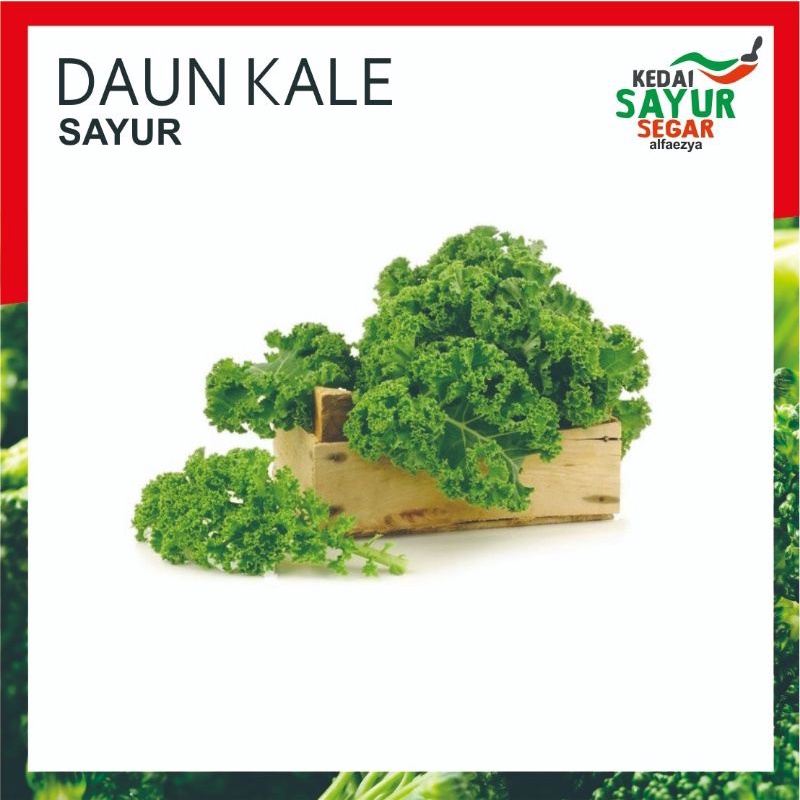 

Daun Kale Curly Repack 250gr / 500gr