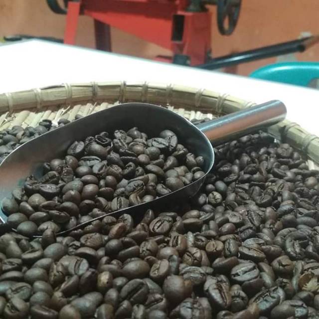 

arabica coffee sipirok