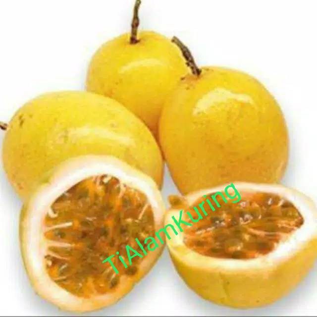 

terbaru Ready stok Buah Markisa segar 1kg matang langsung petik segar