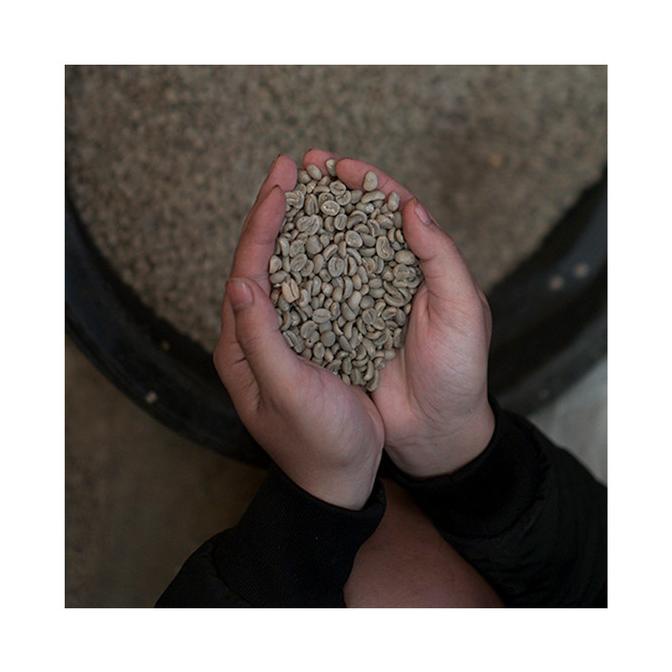 

Kopi Kiwari-Manglayang Karlina Green Beans Washed Process