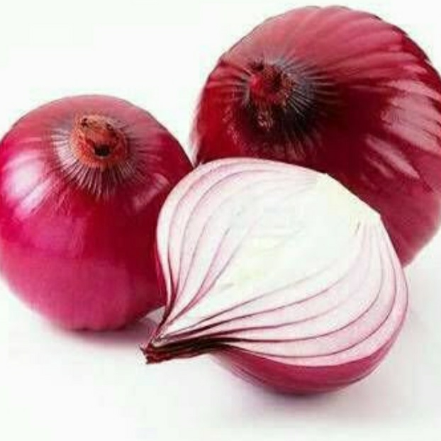 

Kualitas Terbaik - Bombay Merah 20 Kg