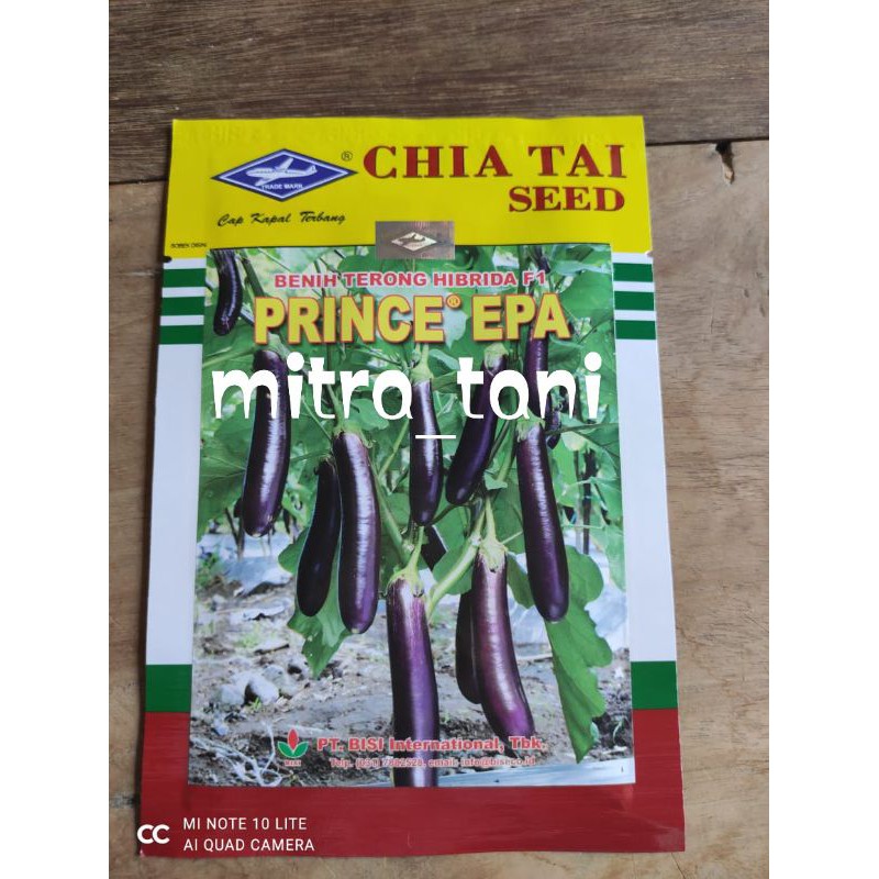 benih sayuran terong ungu PRINCE EPA 10gram dari CAP KAPAL TERBANG