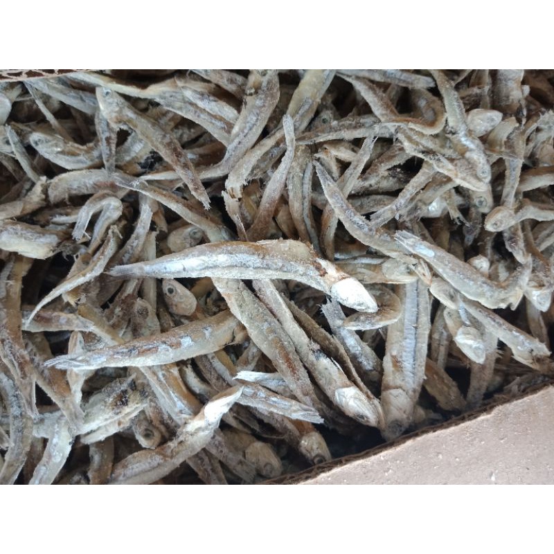 

ikan teri asin