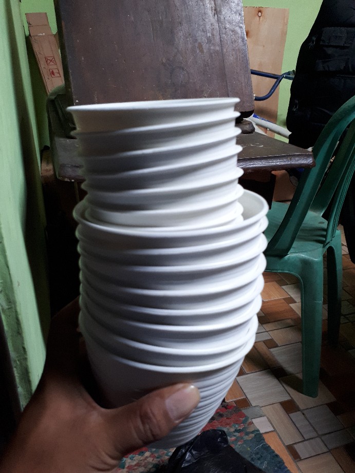Pot Tawon 12 Cm Untuk Tanaman