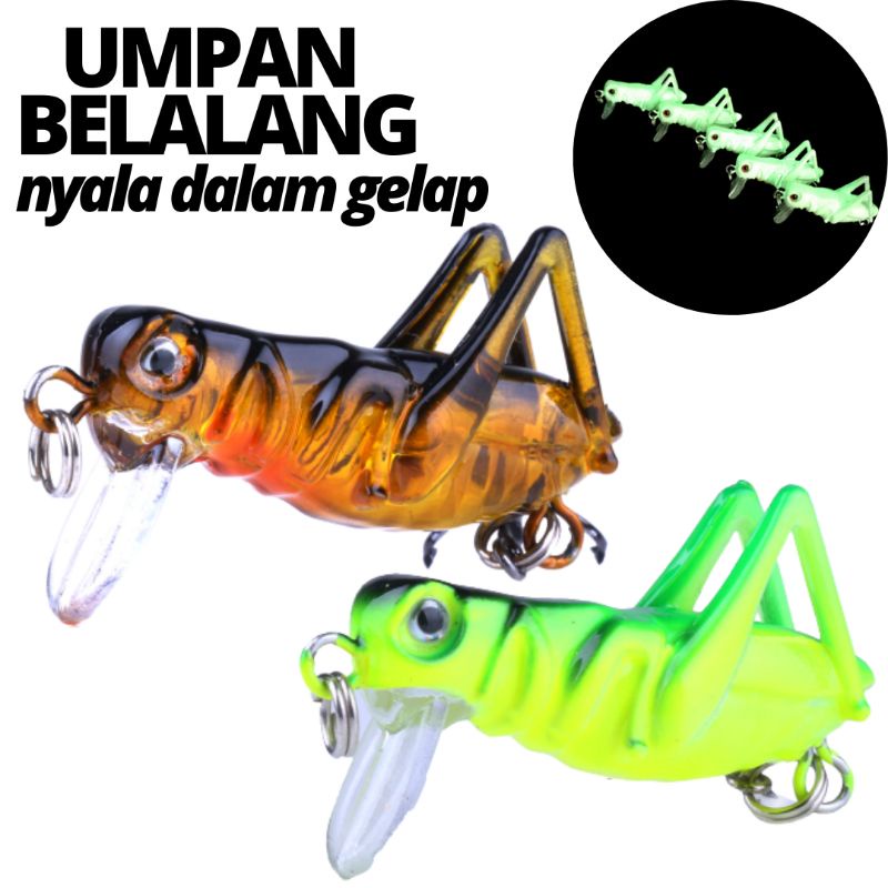 Umpan Pancing Tiruan Bentuk Serangga 3d