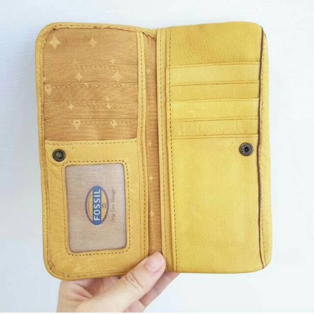 Minor defect fossil explorer camel