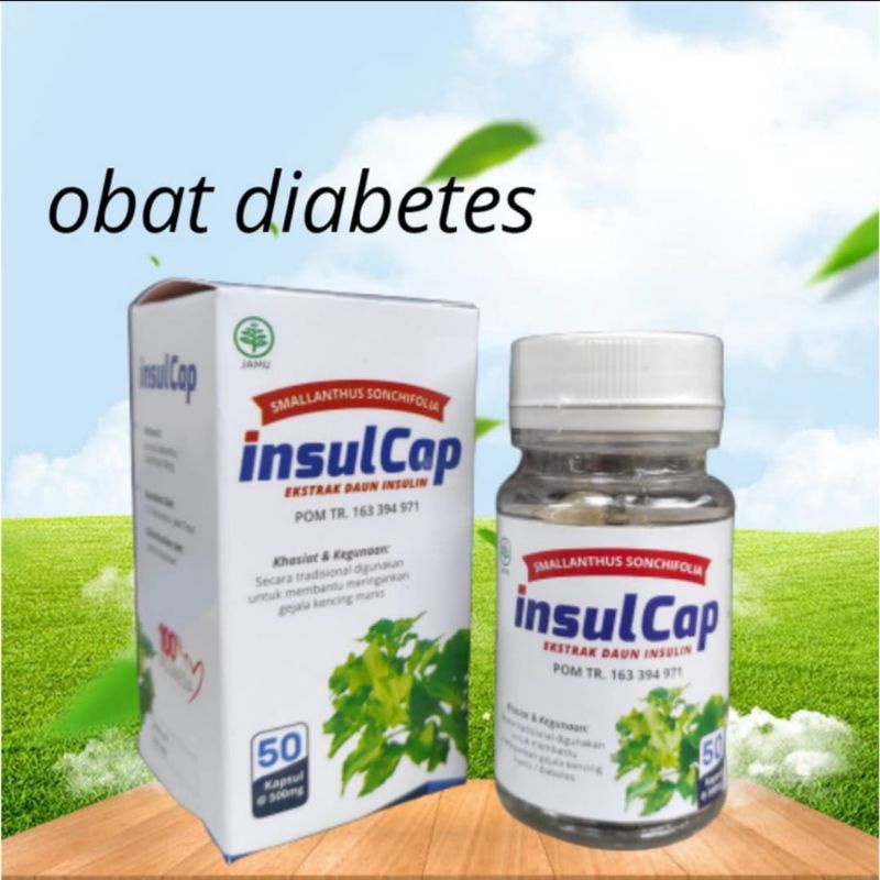 INSULCAP Ekstrak Daun Insulin 50 Kapsul BPOM ORIGINAL - INSULCAP Herbal Diabetes Kencing Manis