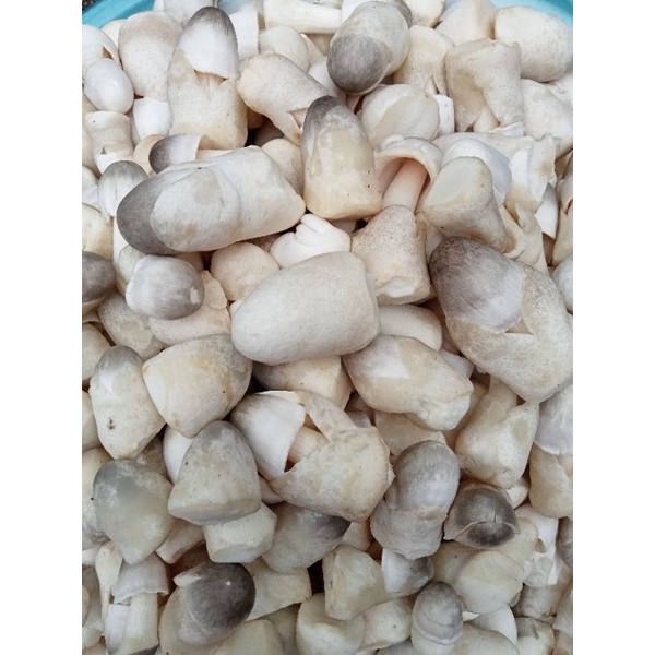 

jamur merang