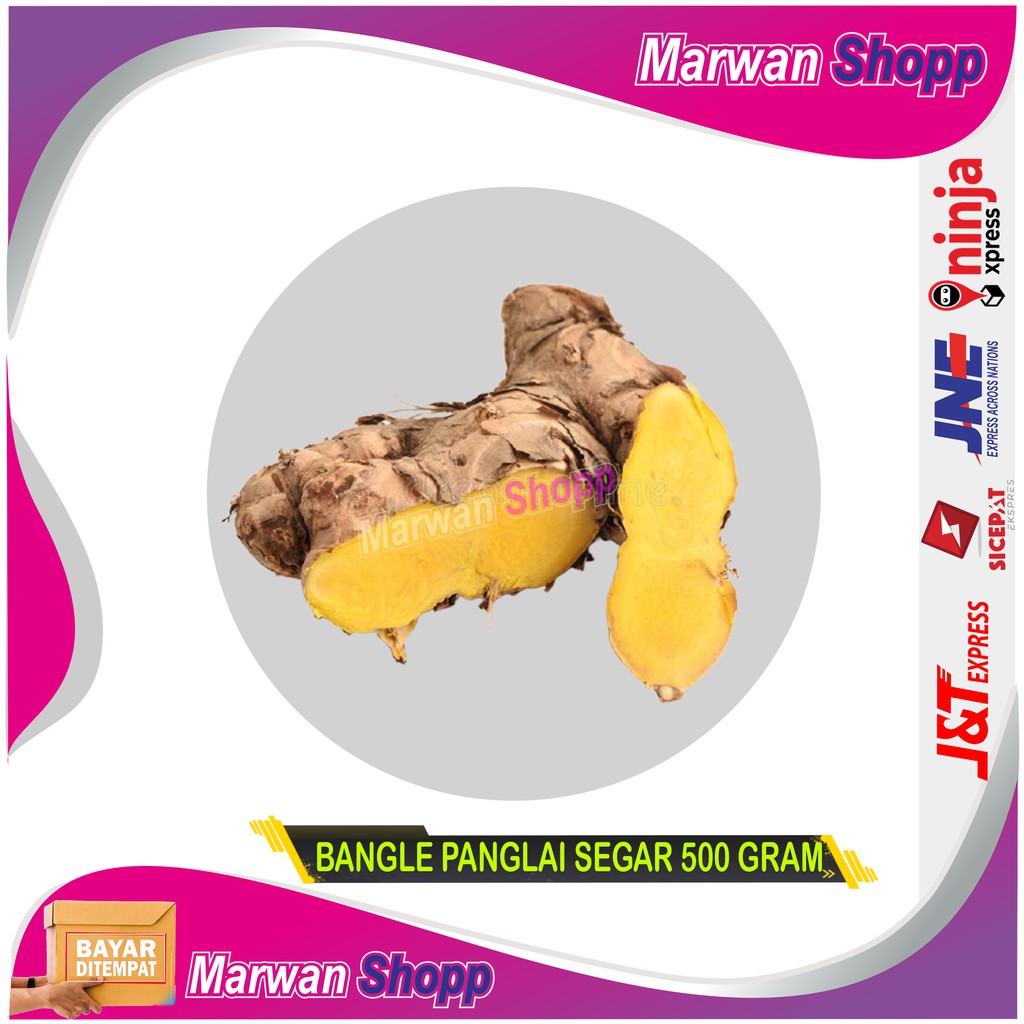 

BANGLE PANGLAI SEGAR 500 GRAM OBAT HERBAL MARWA SHOPP