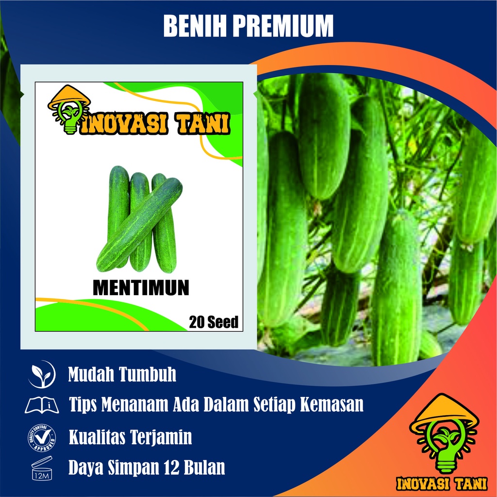 Jual Benih Bibit Sayur Unggul Seed Timun Sayuran Bibit Unggul Benih