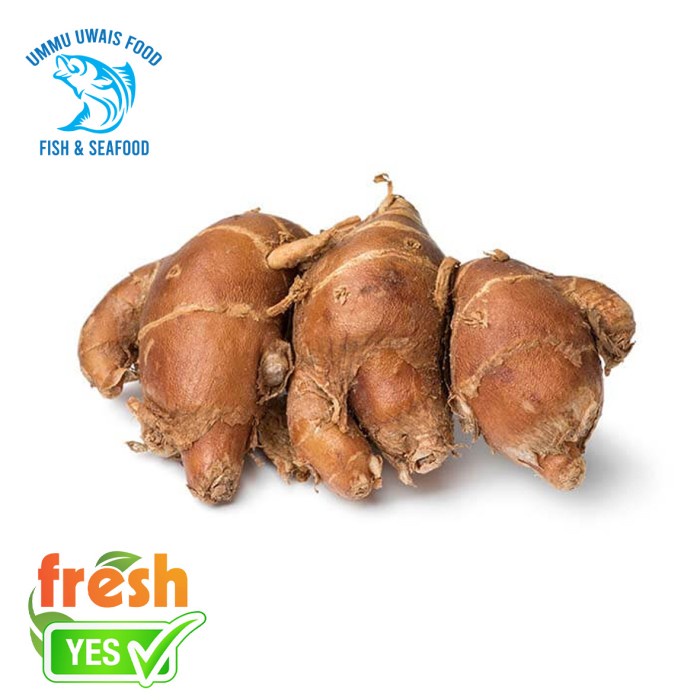 

Kencur Rempah - 250 Gram