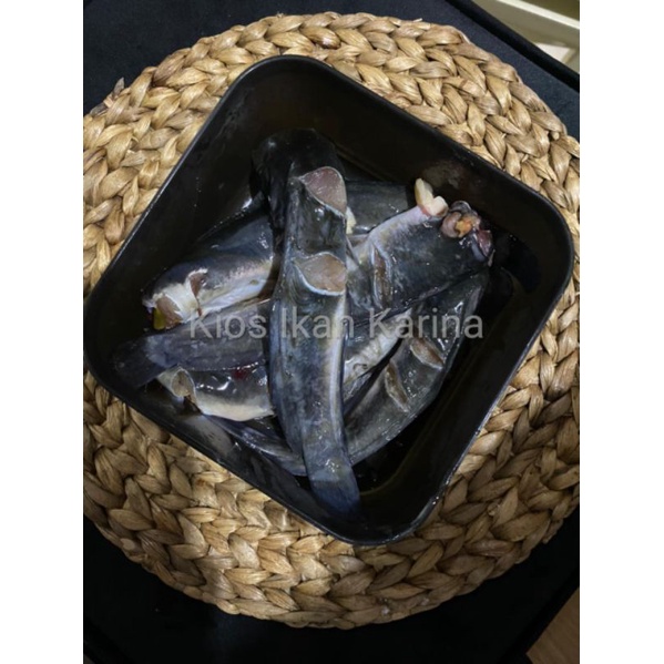 

Ikan Mas , Nila, Gurame, Lele Segar
