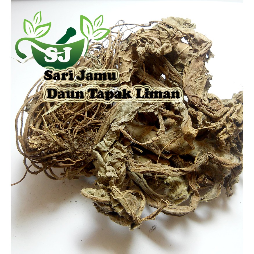 

Jamu Herbal Tradisional Daun Tapak Liman 100 Gr